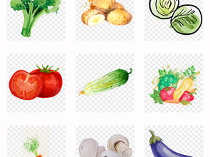 手繪新鮮蔬菜水彩免扣素材 生活與工作的創意利器